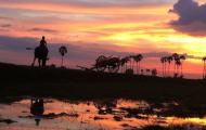 Silhouette at the countryside